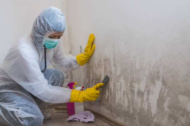 Best Home Mold Removal  in Toppers, OK