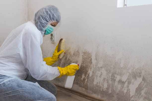 Best Attic Mold Removal  in Toppers, OK