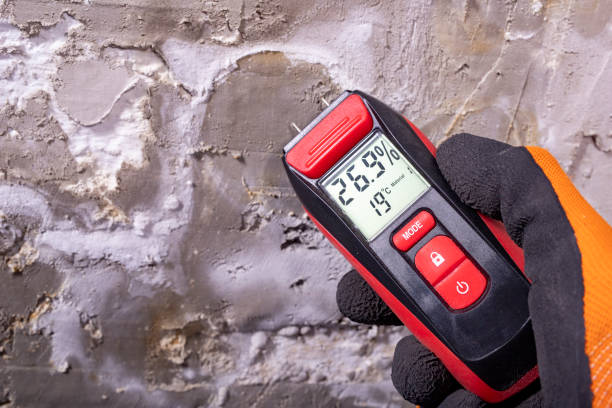 Best Mold Remediation  in Toppers, OK