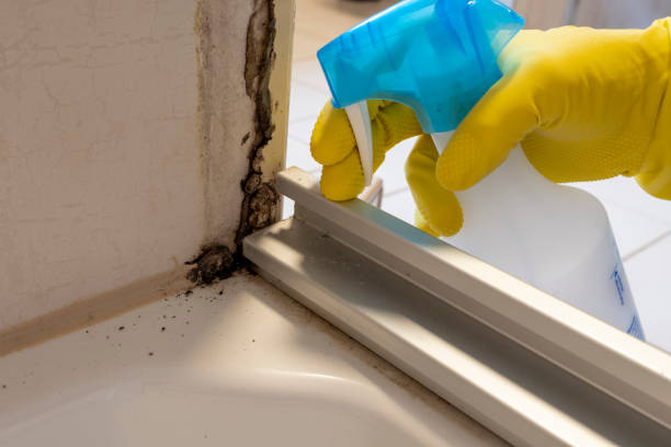 Toppers, OK Mold Removal Company
