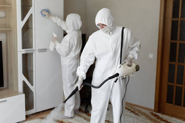 Attic Mold Removal in Toppers, OK